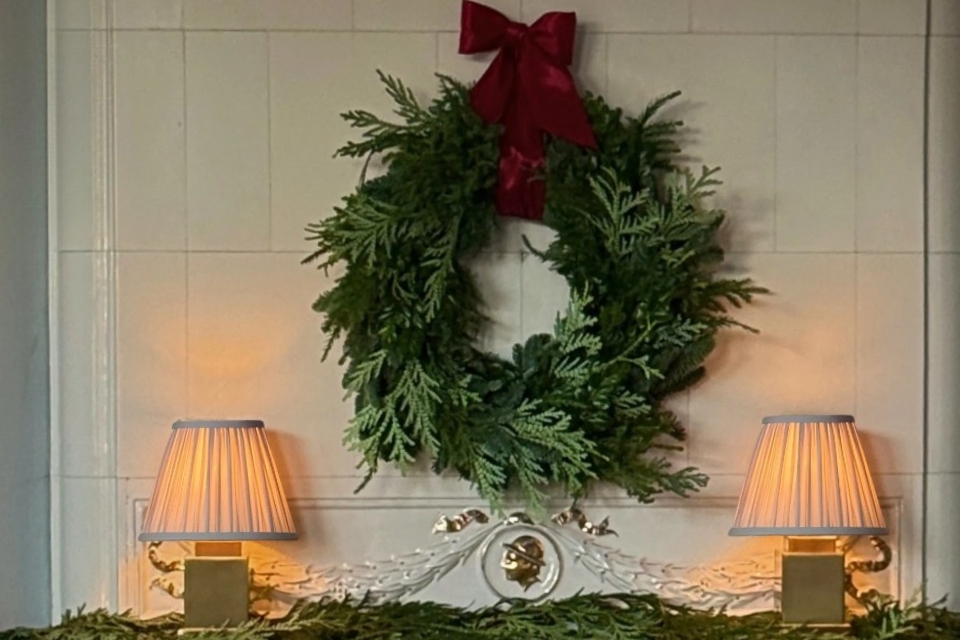 House of Firefly House of Firefly