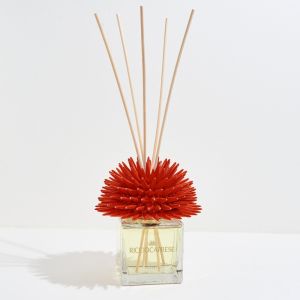 Ricciocaprese 200ml Cicla Coral Agrumi