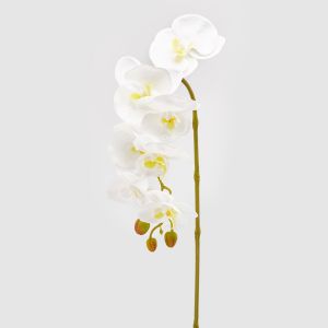 Orkidégren - 85 cm - White
