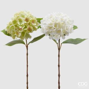 Hortensia Assortert - 1 stk grønn/hvit, H: 60 cm