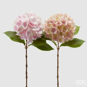 Hortensia Assortert - 1 stk rosa/kremrosa, H: 60 cm
