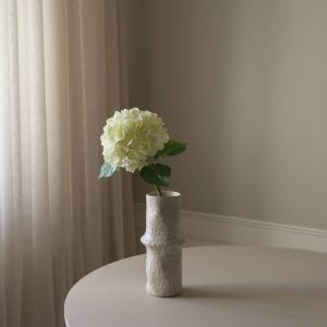 Cream Hydrangea Flower