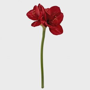 Amaryllis blomst rød 65 cm