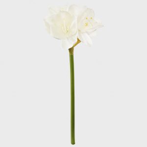 Amaryllis blomst hvit 65 cm