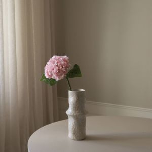 Light Pink Hydrangea Flower