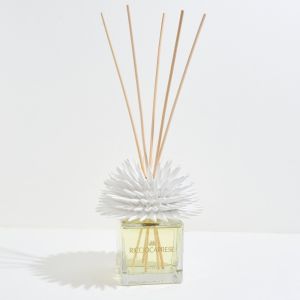 Ricciocaprese Diffuser 100 ml Fiori di Muschio