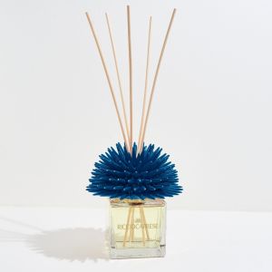 Ricciocaprese Diffuser 100 ml Terra di Capri