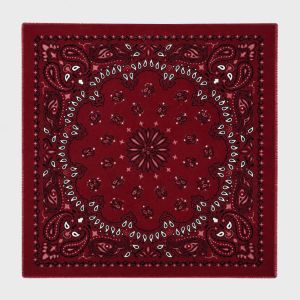 Large Paisley Pattern Bordeaux Scarf
