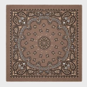 Large Paisley Pattern Taupe Scarf