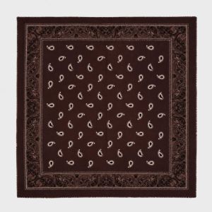 Paisley Scarf Brown