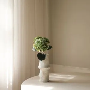 Olive Green Hydrangea Flower