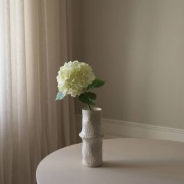 Cream Hydrangea Flower